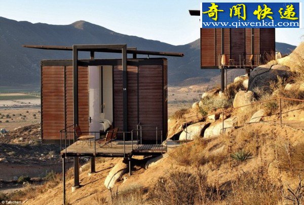 世界最小建筑杰作:麻雀虽小五脏俱全