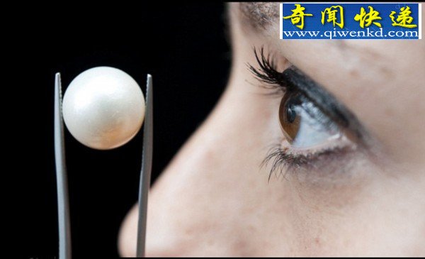 英女子耳环中发现最大天然珍珠(图)