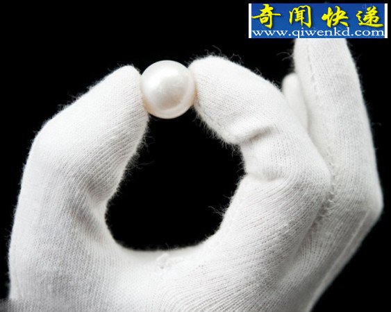 英女子耳环中发现最大天然珍珠(图)