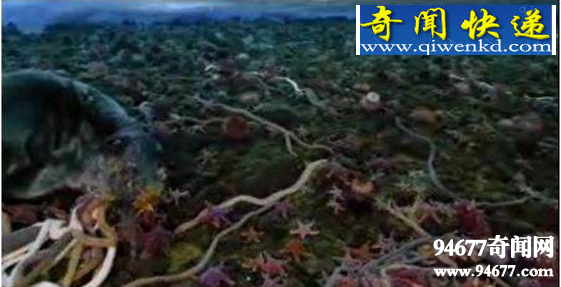 南极巨虫,是一种长达3米的巨型虫类(能吃海豹)