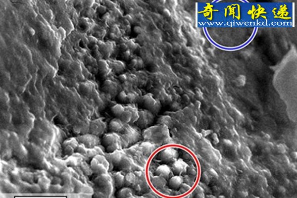 火星发现外星生命痕迹:可追溯到数亿年前