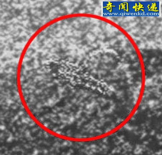 俄罗斯科学家称在金星上发现了“蝎子形状”的物体。 俄科学家称金星有生命迹象形似蝎子(图)
