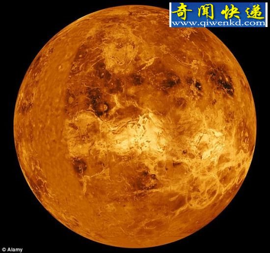 金星表面图。 俄科学家称金星有生命迹象形似蝎子(图)