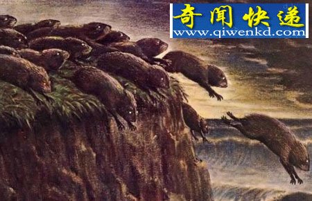 动物也自杀?揭动物自杀的六大原因
