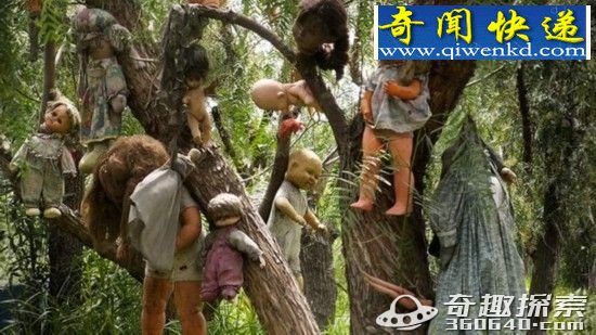 世界上超级最恐怖的五大森林