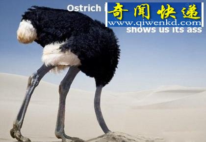 解密动物王国十大谎言