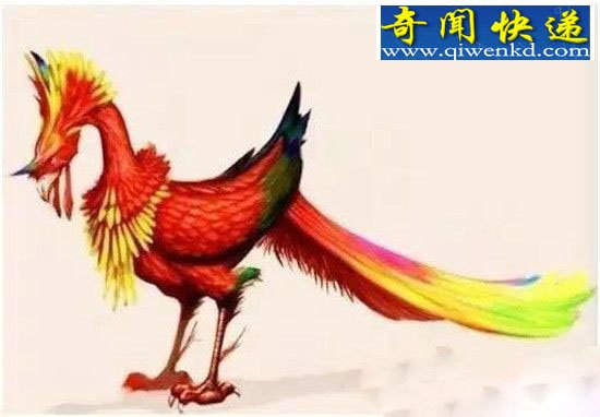 山海经十大上古神兽 他们曾真是存在?