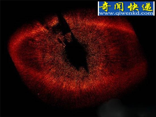外太空十大奇异天体:黑洞同类相残