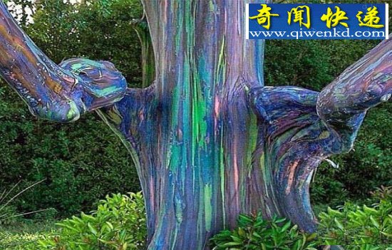 全球诡异的20大自然现象:绝对震撼眼球