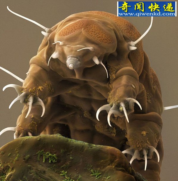 ʮ캣 