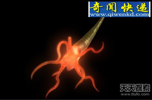 ʮʷǰ