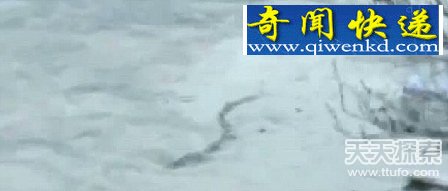 ߵˮ֮