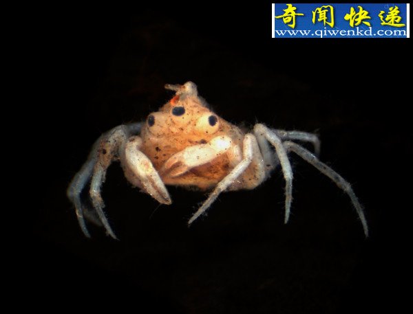 ֵˮз