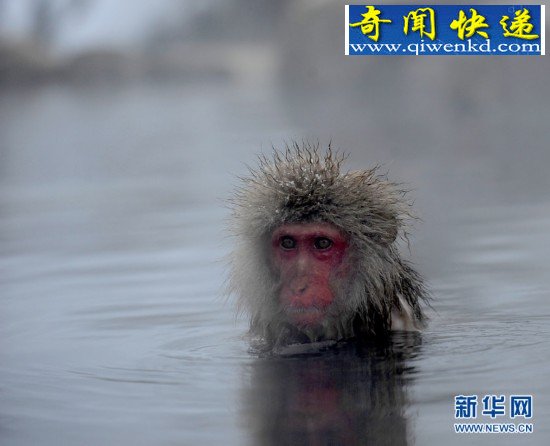 ̵㶯ı