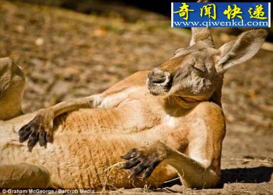 ̵㶯ı