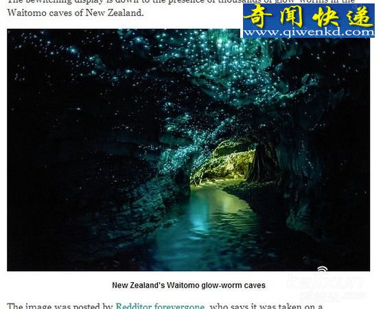 神秘洞穴现萤火虫群 洞内亮如白昼