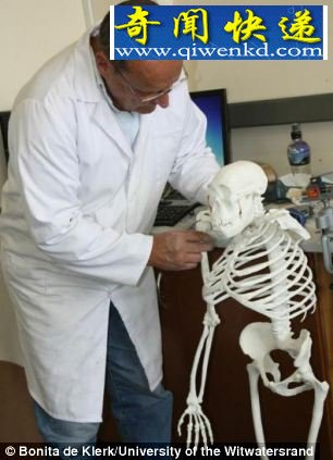 200万年前人类祖先与猿猴类似