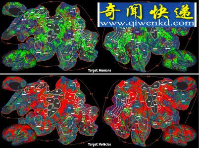 当寻找一个人时,会有更多大脑部位参与到这项工作中来(上图中由绿色表示)。下图中的红色代表的是在寻找车辆时,大脑的注意力发生的变化 大脑可根据搜索目标改变功能