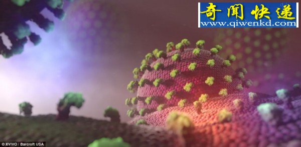 放大千万倍3D人体内部世界犹如外星球(图)