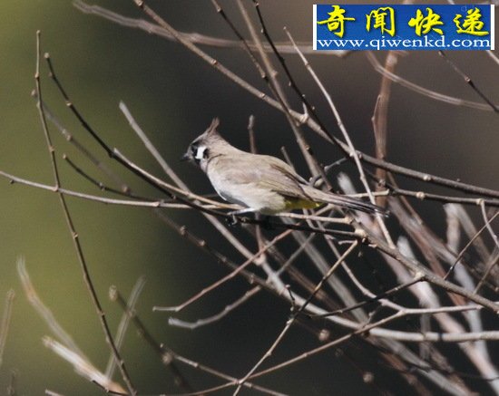 Ȼ硰֡ǵ