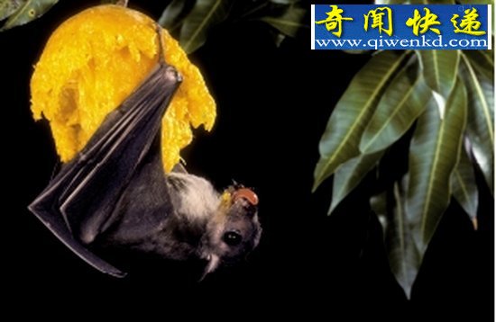 Ȼ硰֡ǵ