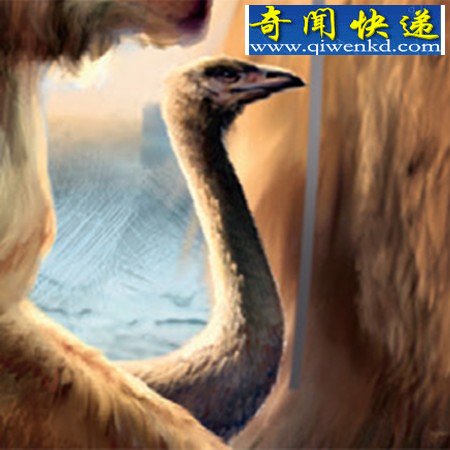 人类导致了大型史前鸟类灭绝