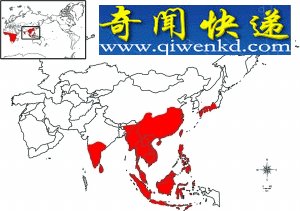 ܽʾ3500ǰӡŷǰײʷ