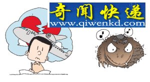 蜥蜴与黑蝎子结死党 意在合作共赢/图 蜥蜴与黑蝎子结死党 意在合作共赢/图