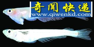 2012ʮ
