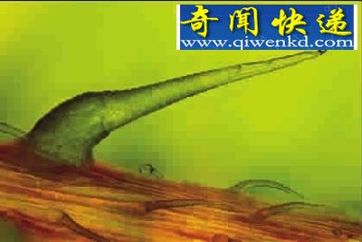 ΢֮