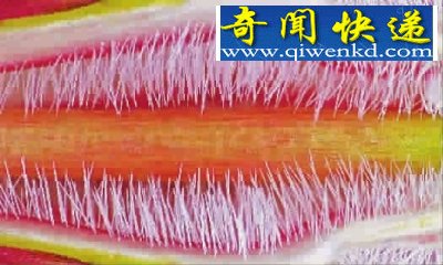 ΢֮
