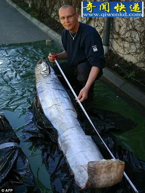 صˮ¡ޡʴ̽أͼ