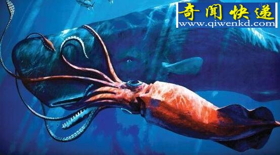 十大罕见的深海鱼类,恐怖怪异如同外星生物