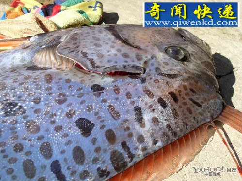 ޻ʴ̽