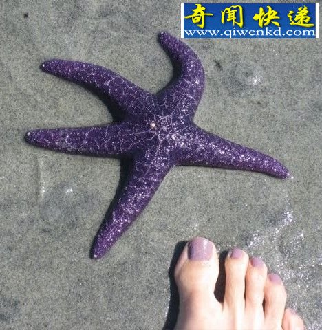 溱ɫ