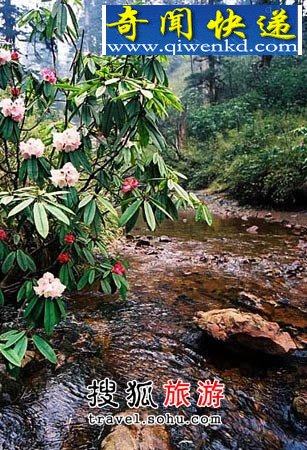 死亡纬度线上禁区 瓦屋山迷魂凼