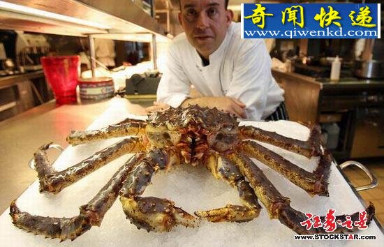 十大诡异海中生物(图片)