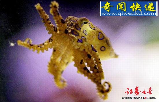 十大诡异海中生物(图片)