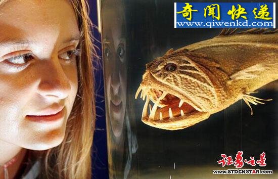 十大诡异海中生物(图片)