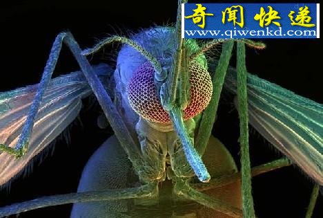 ʮѪǳר沿(ͼ) 