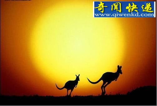 绝对隐私: 蜜蜂讲贞操 大熊猫爱倒立撒尿