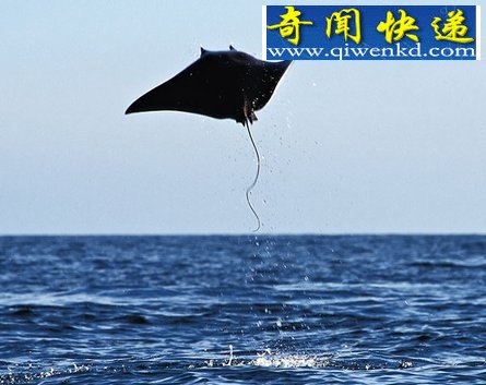 ûҲɵĶ