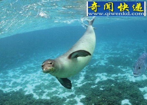 ˴ͼΣɮ