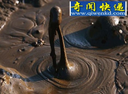 世界各地火山喷发壮观景象