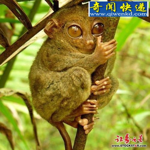 ϰ֡٪嶯̵㣺ΪΣ 