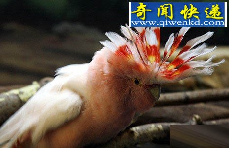 ̵㶯10ǡ226 