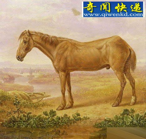 ̵㶯10ǡ226 