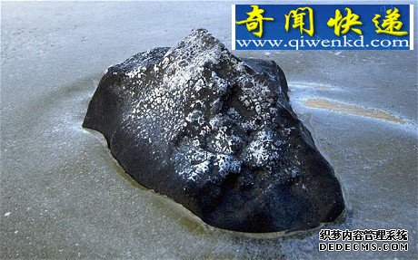 这是2008年11月28日在加拿大的一个池塘内发现的一块陨石碎片 陨石碎片中发现早期生命形成关键化学物质
