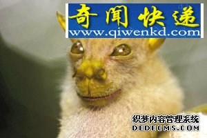 ͼ̵20涯ħڻ 