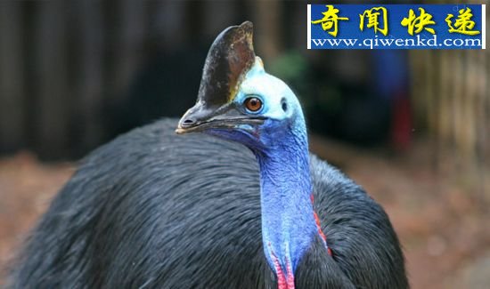 (ͼ)̵Ȼ10εĶɱ